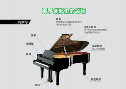 認識鋼琴部件