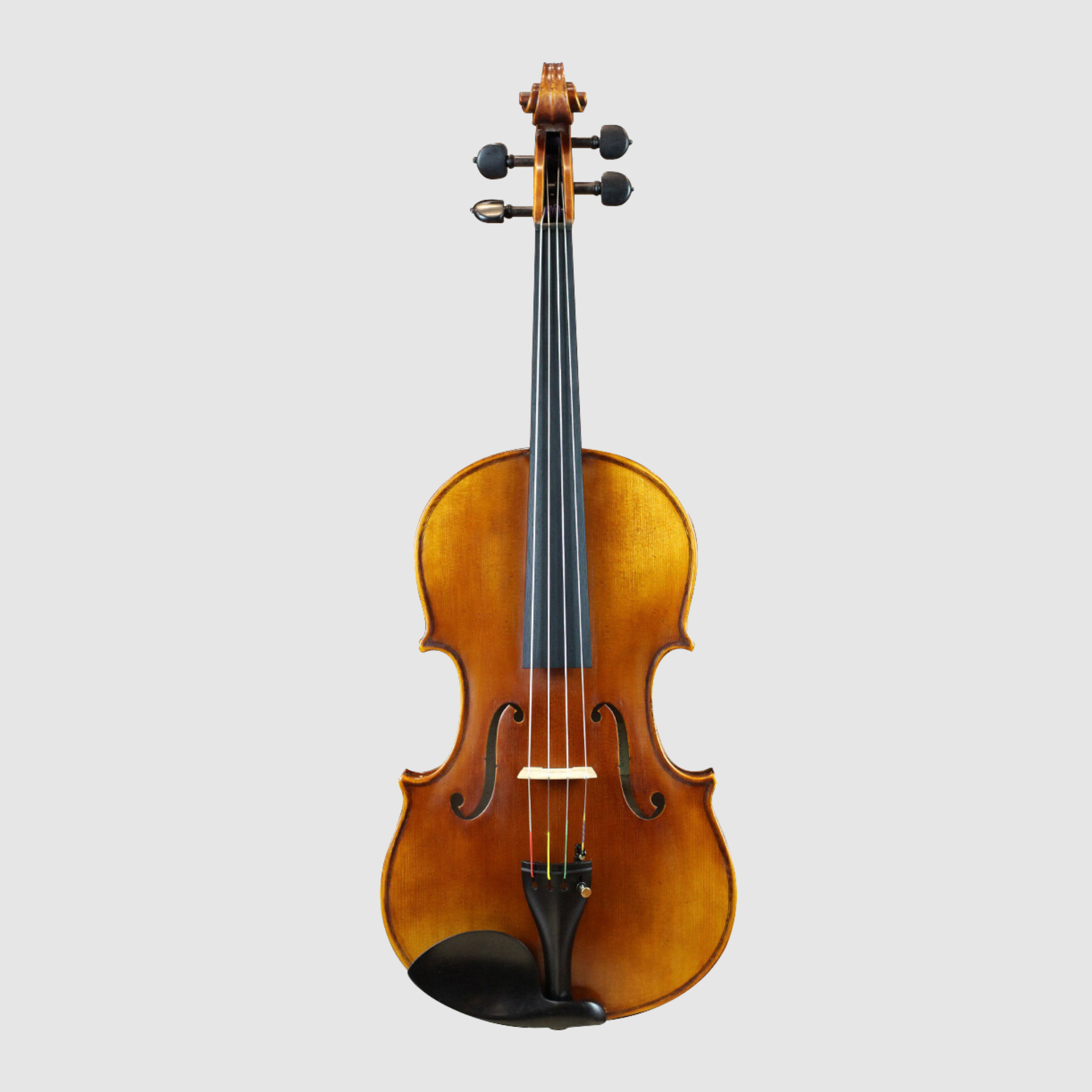 WILH. STEINBERG GSA600 中提琴 (套裝)