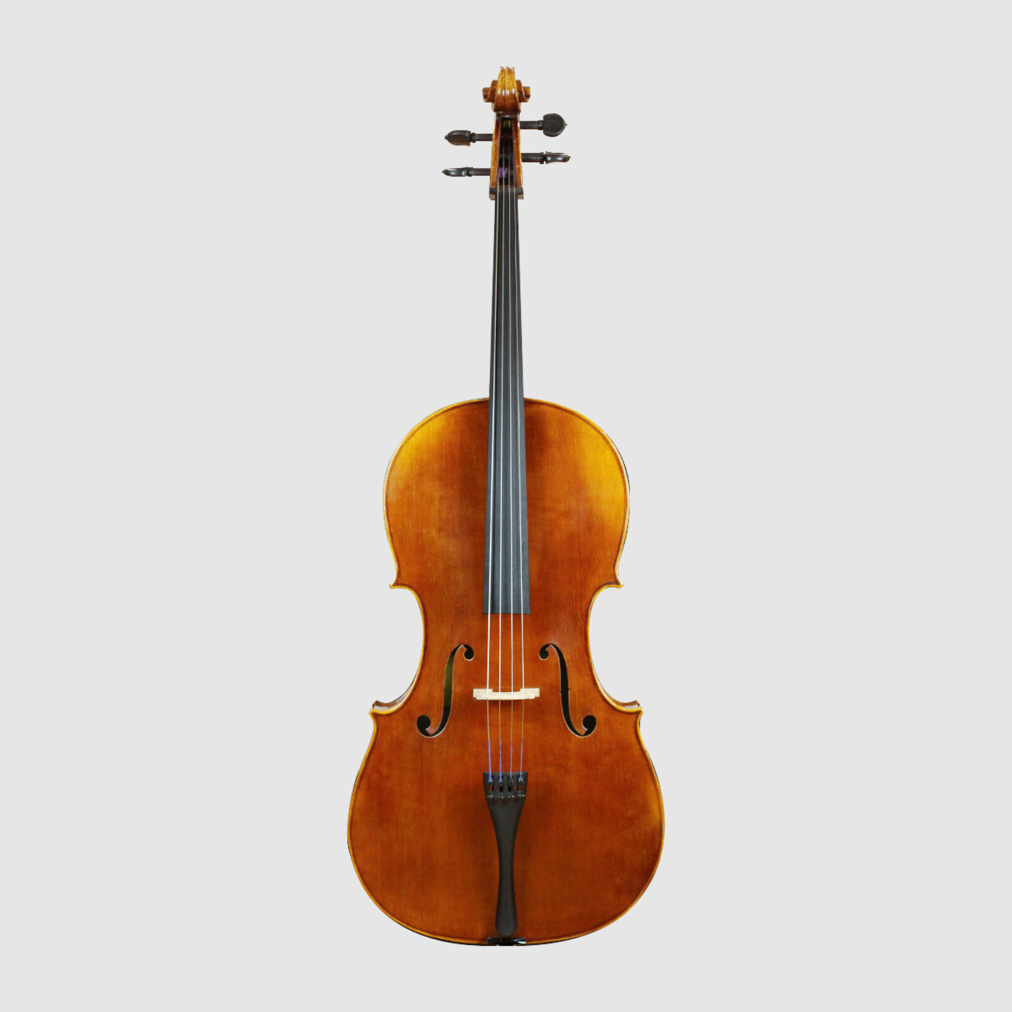 WILH. STEINBERG GSC600 Cello (Outfit)