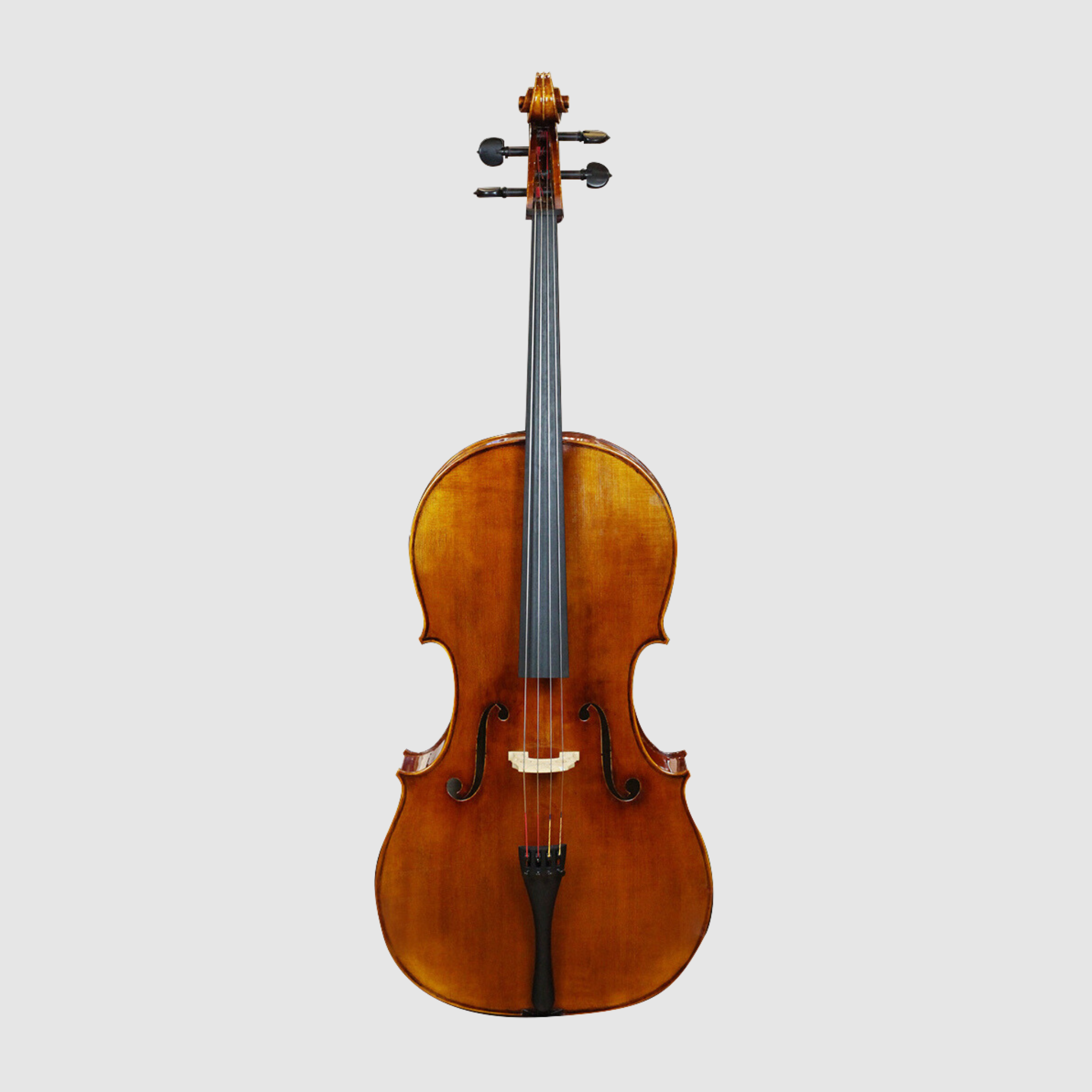 WILH. STEINBERG LSC900 大提琴 (套裝)